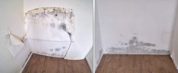 Step-by-Step Water Damage Restoration Procedure